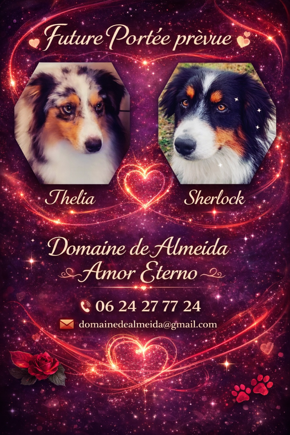 Peut être future portée 