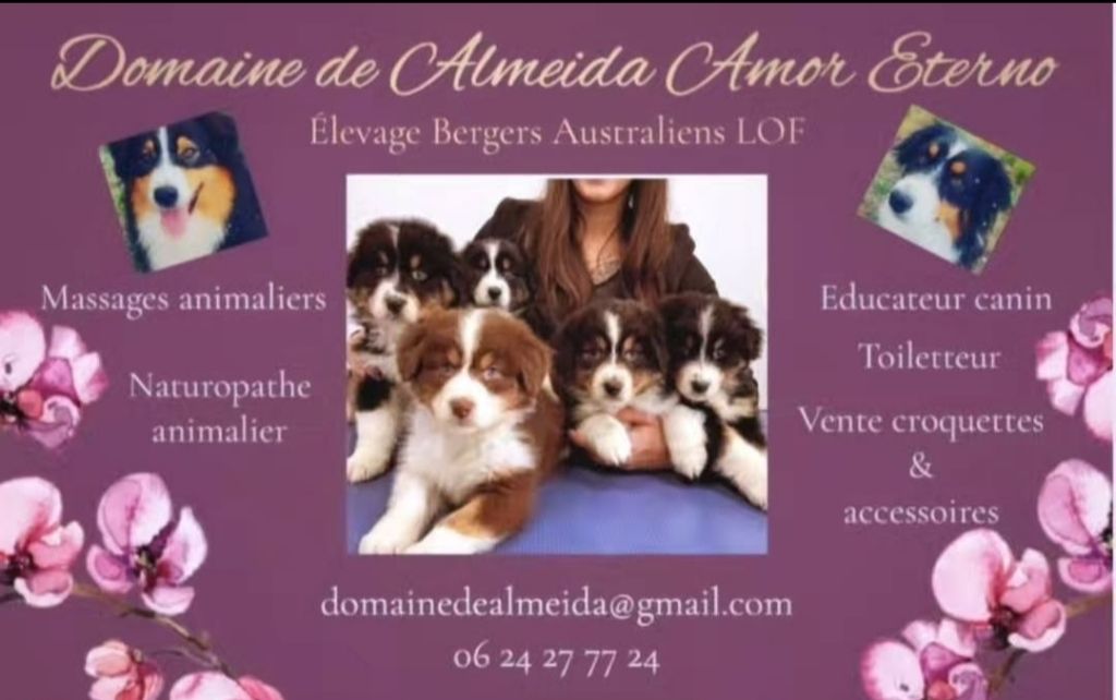 Les bébés sont nés !!!?